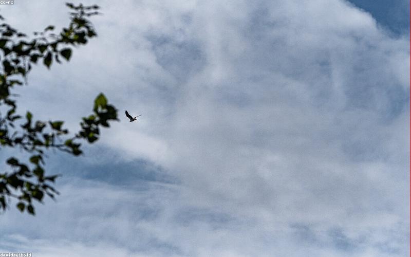 Flugzeug am Flughafen Washington